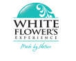 White Flower's11